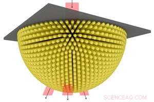 Real-Time Imaging of Cellular Components, Including DNA: A Cutting-Edge Optical Microscopy Breakthrough