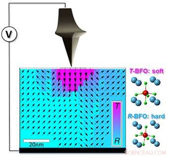 Fine‑Tuning Nanoscale Stiffness in Advanced Materials