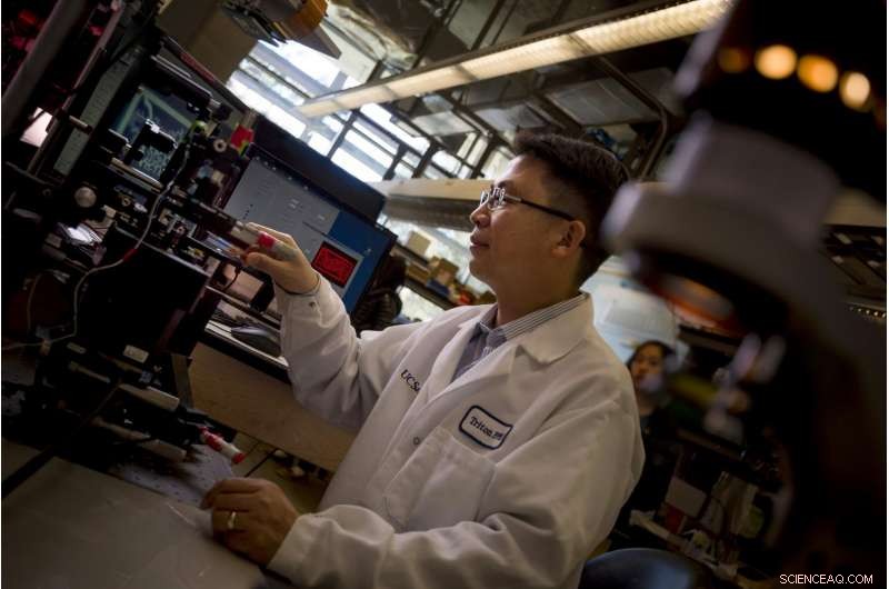 UC San Diego Nanoengineers 3D‑Print Realistic Blood Vessel Network, Paving the Path to Artificial Organs