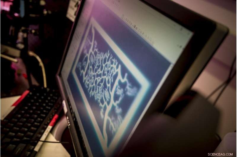 UC San Diego Nanoengineers 3D‑Print Realistic Blood Vessel Network, Paving the Path to Artificial Organs