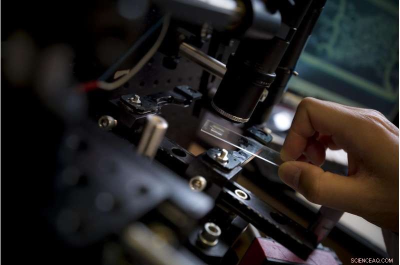 UC San Diego Nanoengineers 3D‑Print Realistic Blood Vessel Network, Paving the Path to Artificial Organs