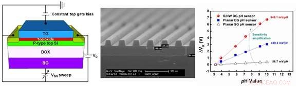 Silicon Nanowires Made by Imprinting Technology: The Next Frontier for Transistor‑Based Biosensors