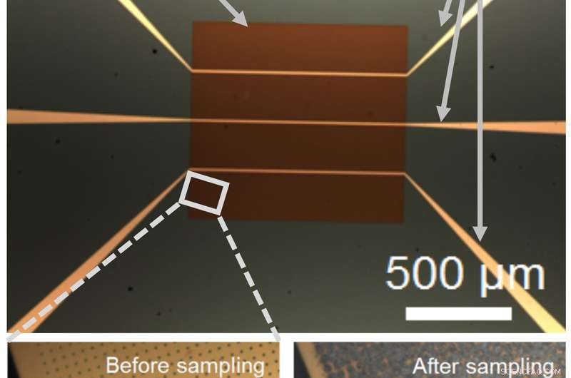 Molecule‑Mediated Detuning of Nanodrum Resonators