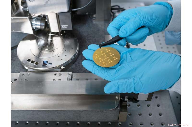 Polymer-Coated Silicon Nanosheets: A Reliable Alternative to Graphene