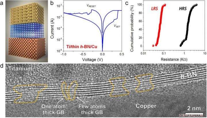 Hexagonal Boron Nitride Paves the Way for 2‑D Electronic Memory Devices