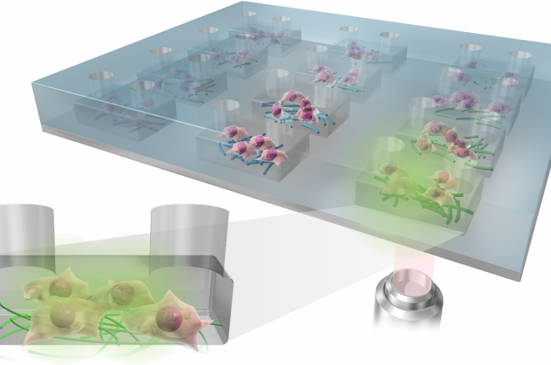 Japan Introduces MACME Array: A Breakthrough Platform for Stem Cell Cultivation