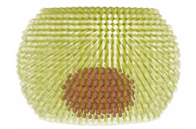 Flying Saucer Quantum Dots Unlock Brighter, Energy‑Efficient Lasers