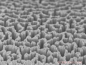 Supercritical CO₂ Enables Eco-Friendly Protective Coatings on Semiconductor Surfaces