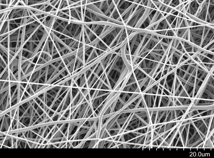 Spaghetti-Like Scaffolds Foster Natural Cell Growth