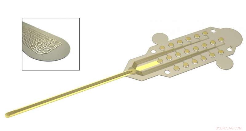 High‑Resolution Brain Mapping with Graphene Neural Probes