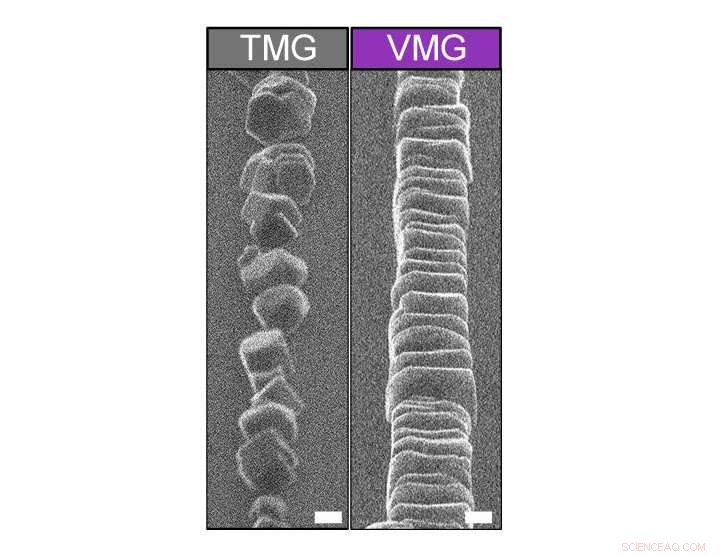 Mastering Ice Formation on Microgrooved Surfaces