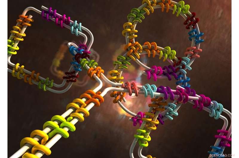 Scientists Build Advanced DNA‑Protein Hybrid Nanostructures at TUM