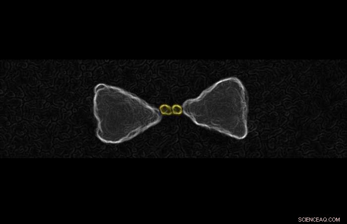 Scientists Reveal Key Nanomaterial Enhancing Solar Energy Harvesting