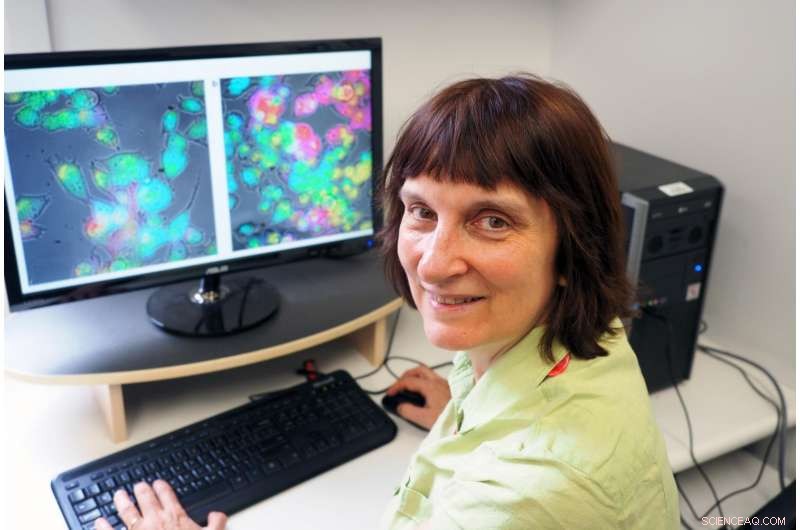 Advanced Nanosensor Detects Cytokines for Early Disease Diagnosis