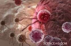 How Cell Size Shapes Intercellular Signaling: A Breakthrough for Disease Diagnosis and Therapy