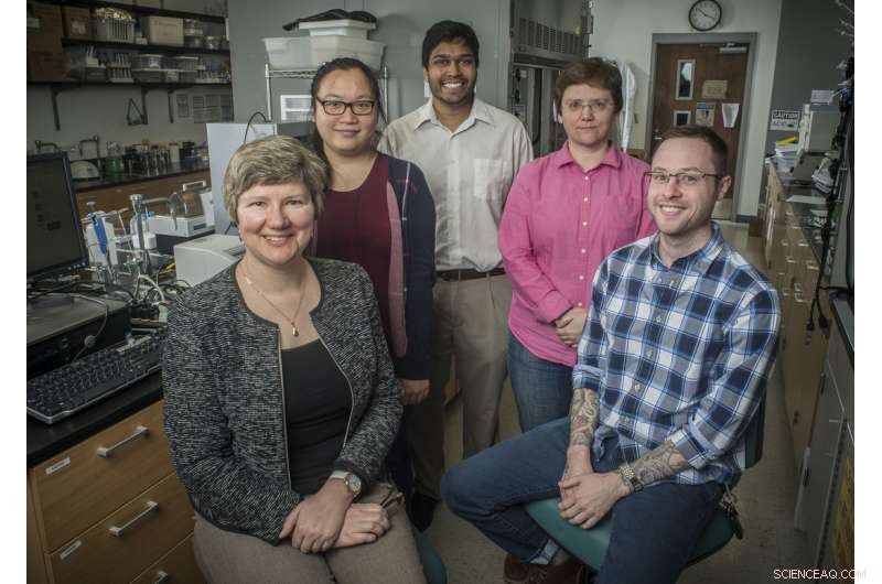UAB Chemists Unveil Triple‑Threat Polymer Nanocapsules for Targeted Cancer Drug Delivery