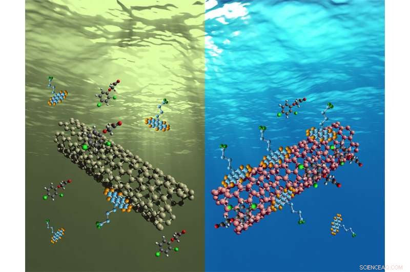 Reusable Carbon Nanotubes: The Next-Generation Water Filter