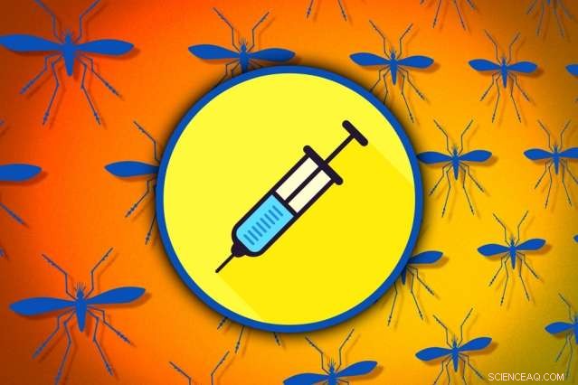 MIT Engineers RNA Nanoparticles to Shield Against Zika Virus