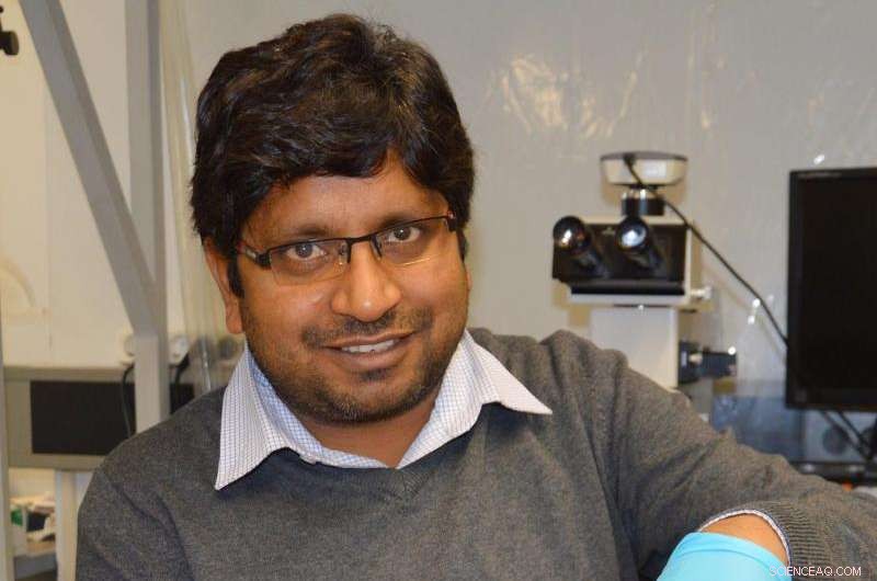 Hybrid Tetrapod Nanomaterial Enhances Laser Light Applications