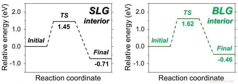 Enhancing Graphene: Functionalizing Single- and Bilayer Sheets with Valuable Chemical Groups