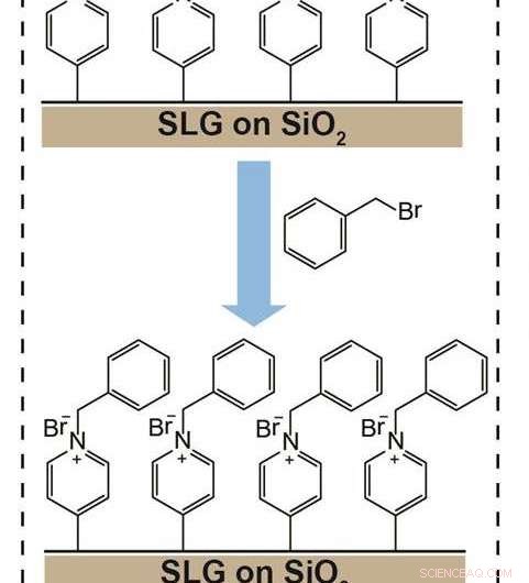 Enhancing Graphene: Functionalizing Single- and Bilayer Sheets with Valuable Chemical Groups