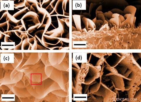 Observing Rust Conversion to Iron: A Scientific Insight
