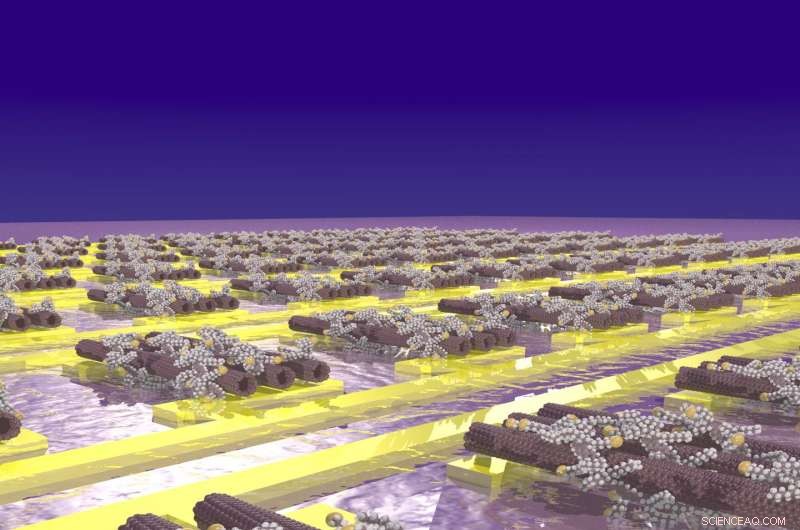 Carbon Nanotubes Self‑Assemble into Ultra‑Miniature Transistors