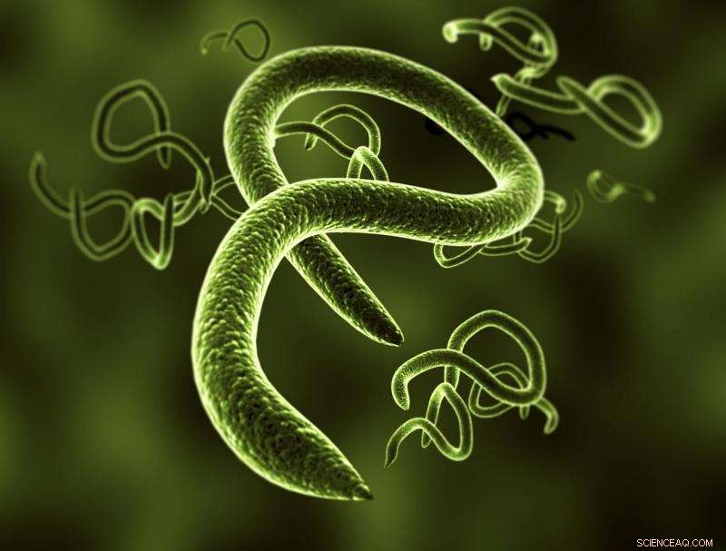 Rapid, Sensitive Virus Detection with Dual Nanoparticle Technology