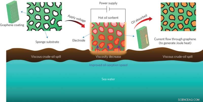 Graphene‑nanoribbon‑wrapped sponges harness Joule heating for rapid oil spill cleanup