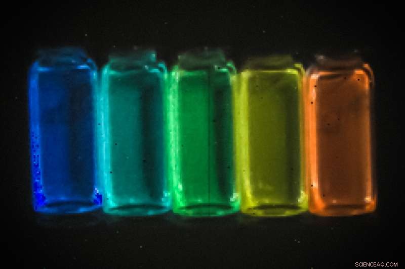 Infrared-Emitting Quantum Dots Unlock Precise Biological Imaging