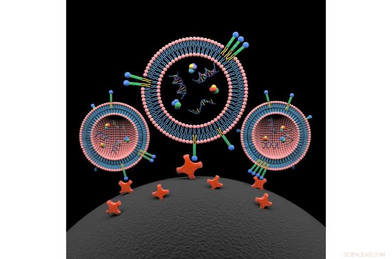 Rapid Capture of Cancer Biomarkers Enhances Diagnosis and Treatment