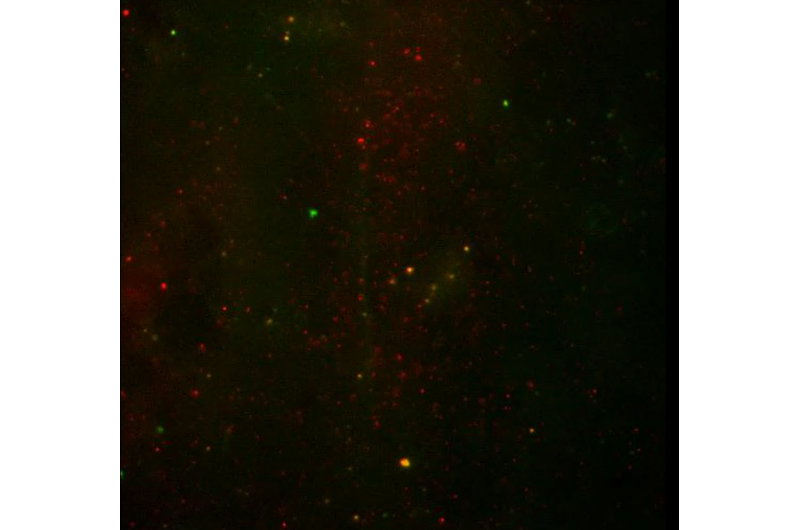 Nanoparticles Enable Mucus‑Penetrating Delivery of Lung Drugs