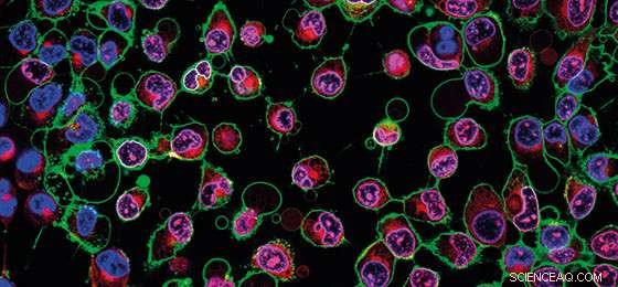 Deepening Insight into Nanomaterials: Development, Use, and Environmental Impact