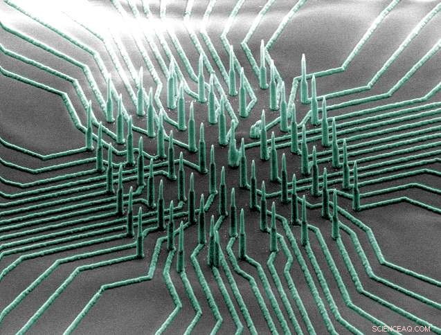 UC San Diego Engineers Develop Neuron‑Reading Nanowires to Speed Neurological Drug Discovery