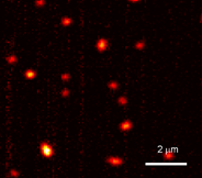 Physicists Capture Images of Individual Molecules by Observing Light Absorption