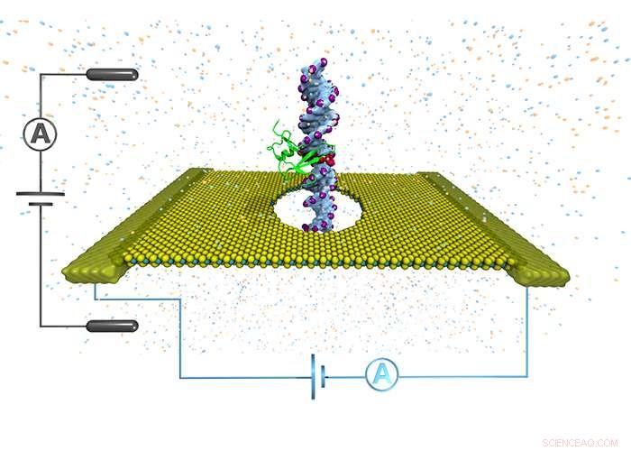 Nanopore Technology Enables Precise DNA Methylation Mapping to Detect Early Cancer Signals