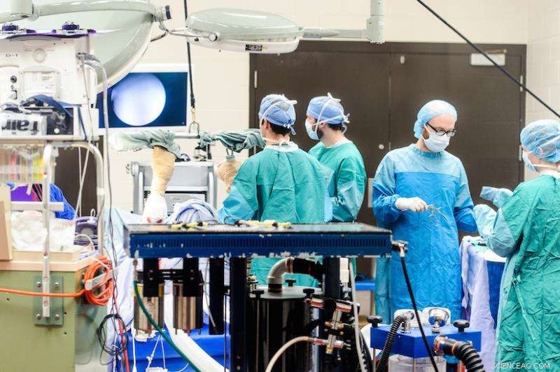 Engineering Insights: Harnessing Silver s Antimicrobial Power