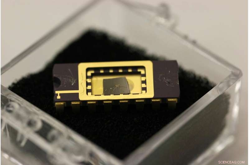 Graphene Phototransistor Shows Promise for Next‑Gen Optical Devices