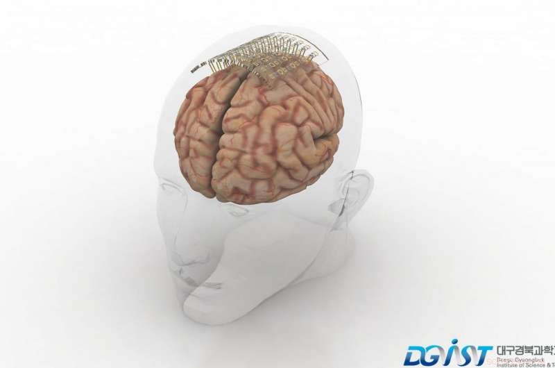 Korean Team Develops Ultra‑Flexible, Low‑Damage Graphene‑Gold Brain Probes