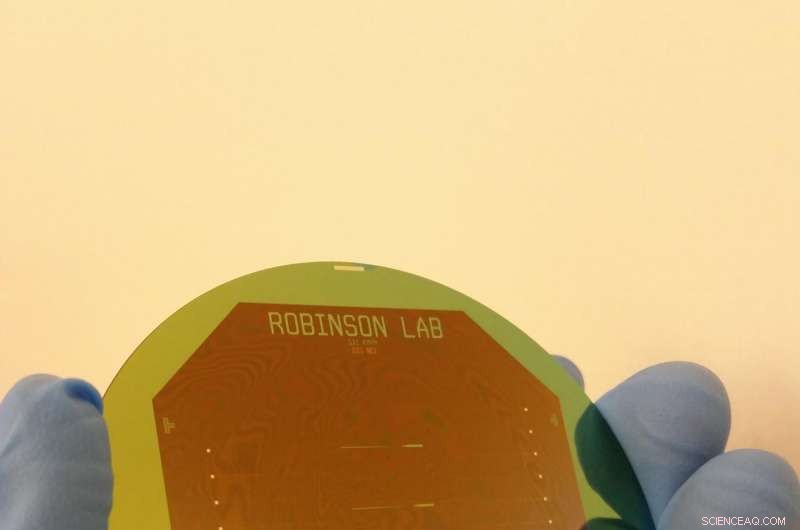 Nano-SPEARs: Precise, Non-Invasive Electrical Monitoring of Small Animal Cells