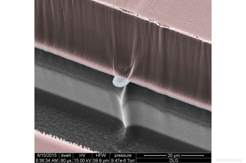 Nano-SPEARs: Precise, Non-Invasive Electrical Monitoring of Small Animal Cells