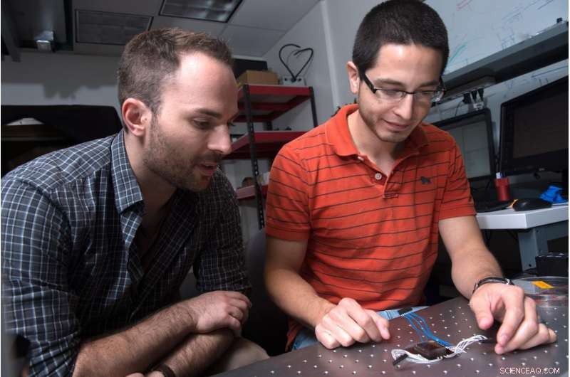 Nano-SPEARs: Precise, Non-Invasive Electrical Monitoring of Small Animal Cells