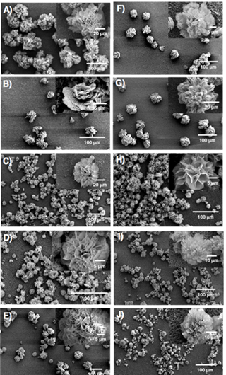 Nuclease-Resistant Hybrid Nanoflowers: Durable DNA-Templated Nanostructures
