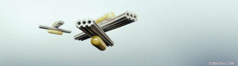 Precisely Controlling Self-Assembled Nanostructures for Tunable Optical Properties