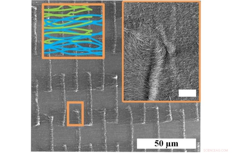 Innovative Carbon Nanotube Architecture Enhances Thin-Film Strength for Flexible Electronics