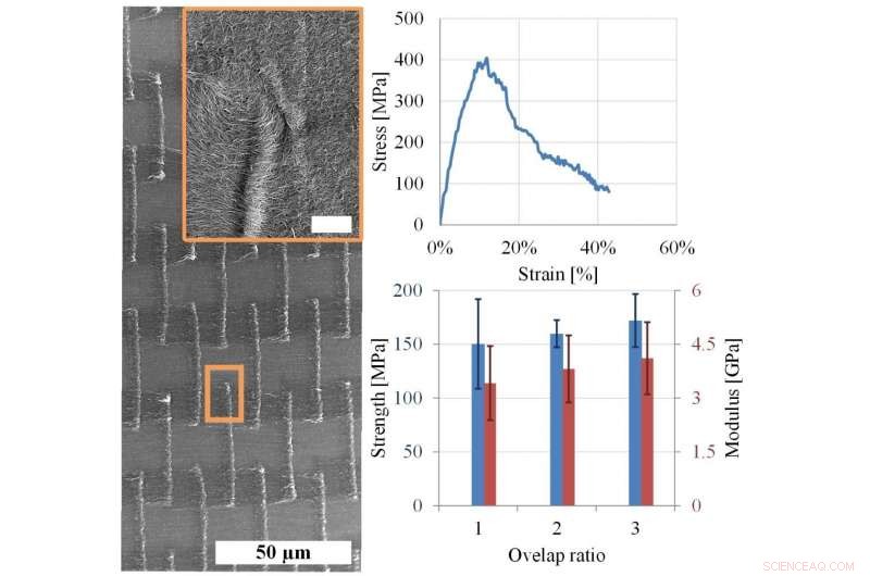 Innovative Carbon Nanotube Architecture Enhances Thin-Film Strength for Flexible Electronics