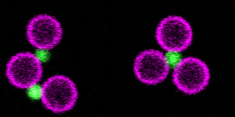 Reconfigurable Microstructures Powered by Tiny Joints