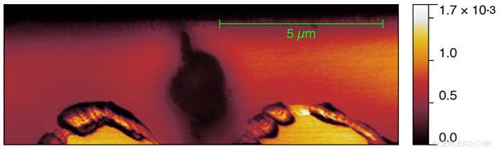 Brookhaven & Yale Reveal 3‑D Mapping Tool for Custom High‑Temperature Superconductors
