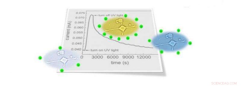 Harnessing Persistent Photoconductivity: A Breakthrough Tool for Advanced Bioelectronics