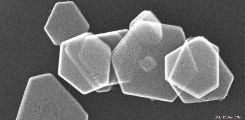 p53-Driven Biomineralization: Precision Engineering of Silver Nanoplates